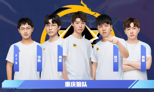 有不少相似 有不少相似