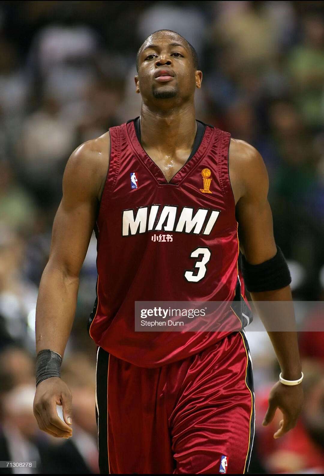 断的暴露 断的暴露